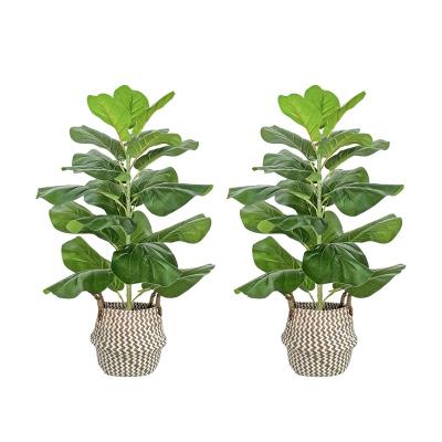 China Wholesale 75cm Home Fake Fig Tree Artificial Fake Fig Tree Plant New Design Artificial Fig Tree For Home Office Mall Store for sale