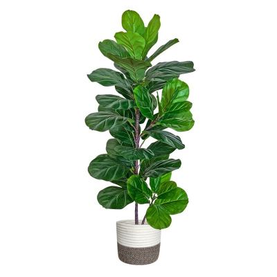 China Wholesale 125cm Home Fake Fig Tree Artificial Rigged Plant Artificial Fig Tree New Design For Home Office Mall Store for sale