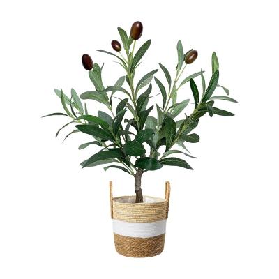 China Wholesale 36cm Home Fake Fig Tree Artificial Rigged Plant Artificial Fig Tree New Design For Home Office Mall Store for sale