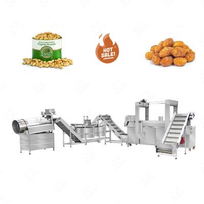 China food & Small Peanut Plant Beverage Cashew Seasoning Machine Automatic Seasoner Machine Peanut Frying Machine for sale