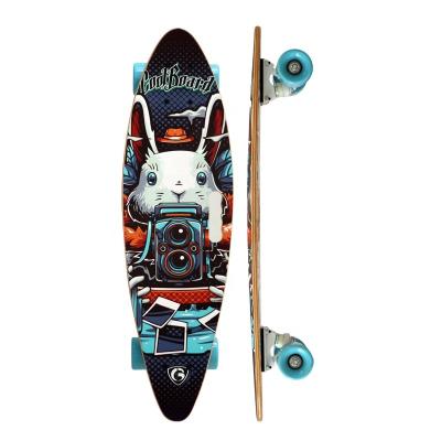 China Hot Selling Youth Fish Cruiser Board Style Complete Skateboard for sale