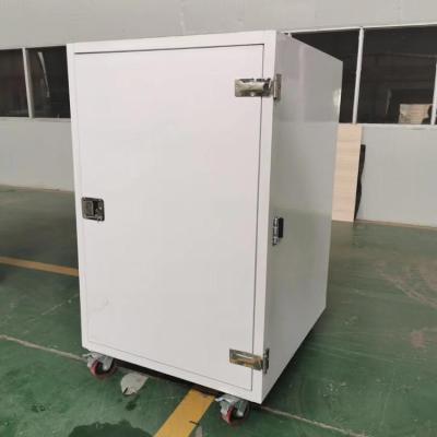 China High Quality Cooling Hotels DC Box Medicine Cooler Box For Cold Chain Delivery for sale