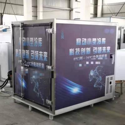 China Hotels DC Mini Portable Cold Room For Cold Chain Delivery for sale