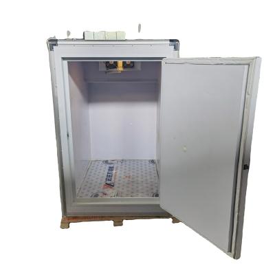 China food & Beverage Plant AC/DC Mini Cold Room Storage Freezer Fish For Pickup Truck/ Van Ice Cream for sale