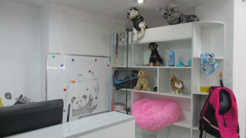 Verified China supplier - Guangzhou Kaixin Pet Products Co., Ltd.