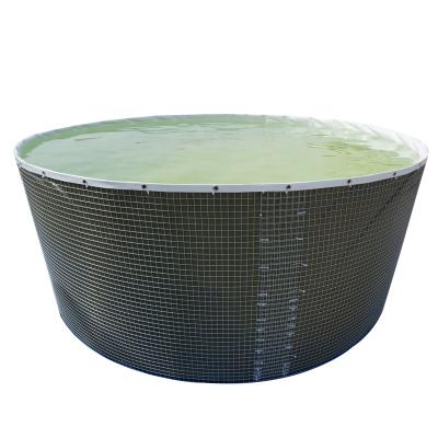 China China Origin 50000L PVC Super Quality Anti-leaking Foldable Fish Farming Pool Tank For Fish Shrimp à venda