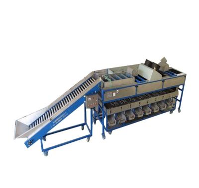 China Fruit Processing Plant Fruit And Vegetable Sorting Machine Apple Sorter CE for sale