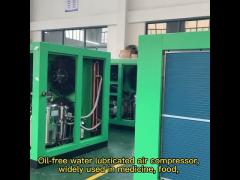 100 hp Rotary Screw Air Compressor Industrial Oil Free Screw Air Compressor