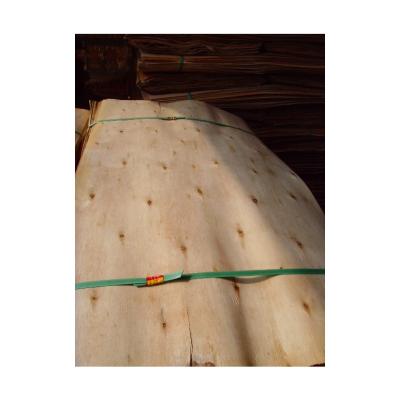 China Plywood Core 1.7mm EUCALYPTUS CORE WOOD VENEER for sale