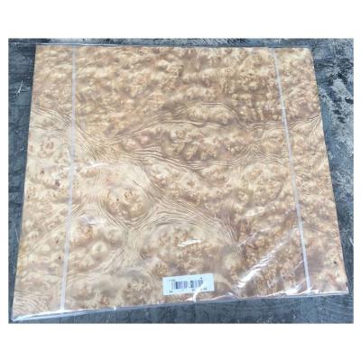 China Modern Gold Camphor Burl Wood Veneer for sale