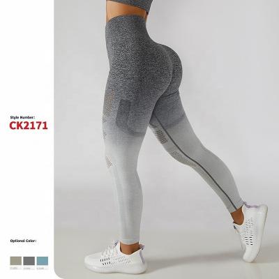 China Breathable Custom Design Hot Sale Fitness Workout No Mesh Pants High Waist Seamless Front Seam Squat Proof Yoga Sports Leggings For Women for sale