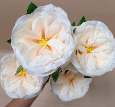 China Wholesale Plastic Silk Fabric 5 Heads Artificial Tea Rose Bouquet Flower Silk Camellia for sale