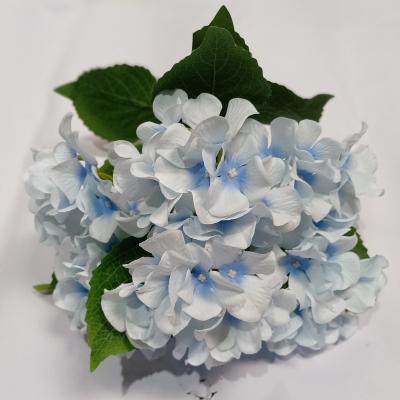 China The Artificial Silk Fabric Hydrangea Home Decoration Plastic Silk Side The Hydrangea for sale