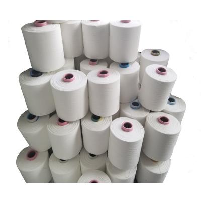 China Fancy High Quality Yarn 6/1NM Chenille Yarn 100%Polyester Raw White For Flat Machine, Circle Machine, Rapier Machine And Etc. hand knitting. for sale