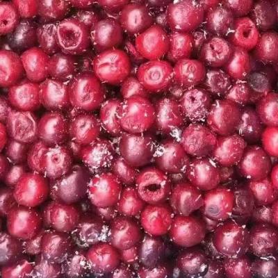 China Cherry Bulk Fresh Red Fruit FROZEN For Sale for sale