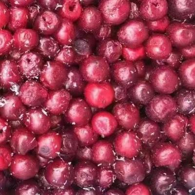 China Best IQF Prices FROZEN Frozen Cherries For Sale for sale