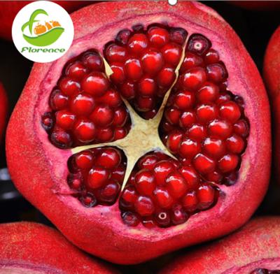 China Chinese IQF healthy fresh frozen pomegranates for sale for sale