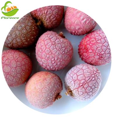 China Healthy IQF Lychee Whole Pitted Frozen IQF Lychee for sale