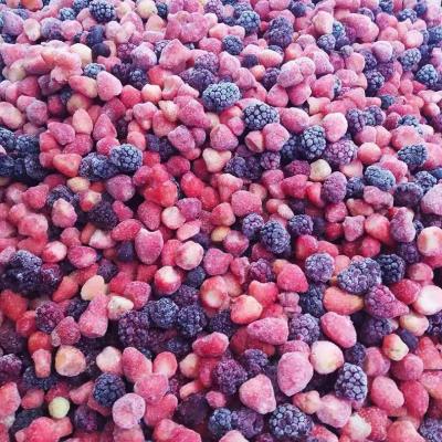 China IQF FROZEN vegetable&fruits mix frozen berries mixed strawberry blackberry blueberry raspberry mix for sale