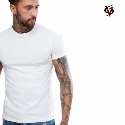 China Men And Women Cotton Plain Blank Short Sleeve T-Shirt Wholesale for sale