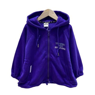 China Anti-wrinkle spring 2022 new children's clothing children's hoodie fashion hoodie zipper coat for sale