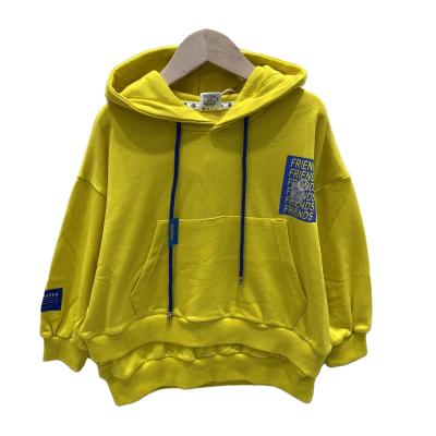 China High Quality 100% Anti-wrinkle Spring Cotton Autumn Kids Hoodie For Comfort Boys And Girls Hoodies for sale