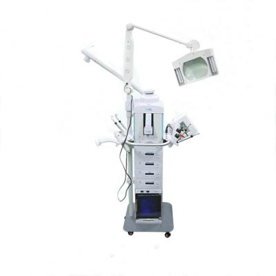 China Hot sale jade beauty facial machine 19 in 1 multifunctional facial beauty machine/spray facial beauty machine for sale