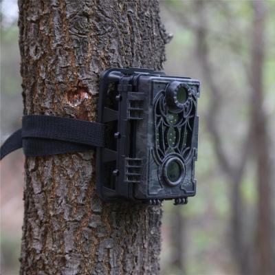 China 720P Weather-Resistant Infrared Hunting Camera Bush D2 12MP Wildlife Camera Trap for sale