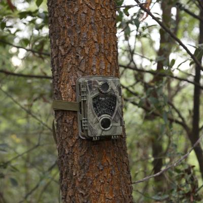 China Weather-Resistant Trail Camera Hunting Waterproof Camera Trail Camera For Wildlife Motion Detection for sale