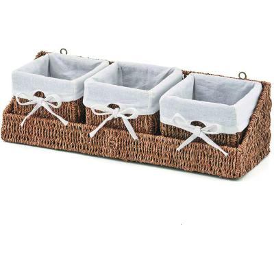 China New Design Vegetable Plankton Sustainable Baskets For Home Pantry Basket Rope Baskets for sale