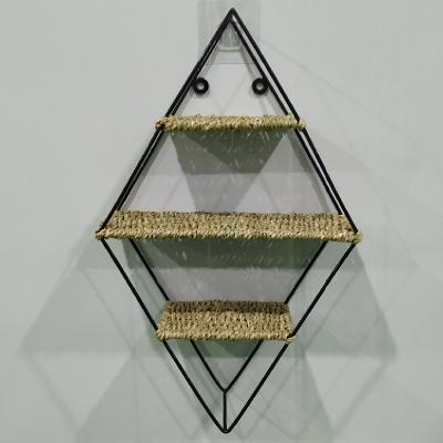 China New Design Metal Wire Vegetal Plankton Three-Layer Wall Hanging Stocked Shelf for sale