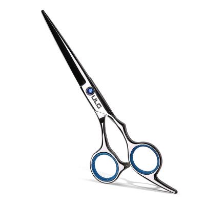 China Modern Simplicity Professional Hair Scissors Hair Cutting Home Barber Shears Hairdressing Scissors Thinning Set for sale