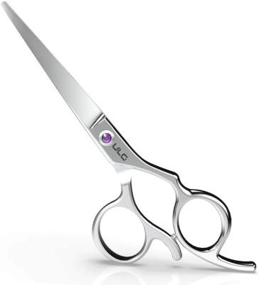 China Modern Simplicity Stainless Steel Professional Hair Cutting Scissors Barber Salon Scissor Thinning Hair Hairdressing for sale