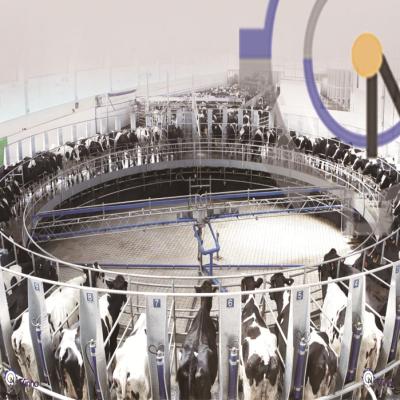 China Electronic meter rotary milking parlor for dairy farm for sale