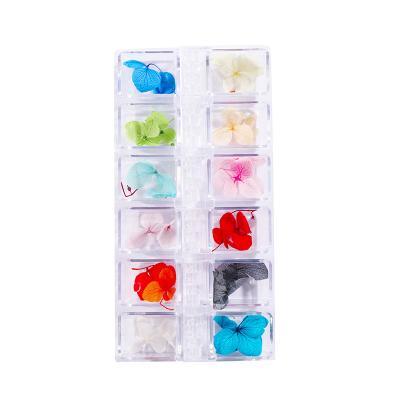 China 65 Kinds Tik Tok Border Hot Net Red Red Nail Art Dried Flowers 12 Grid Boxes Colorful Flower DIY Nail Charms Real for sale