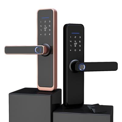 China Hotel apartments home office the most popular smart lock APP password lock fingerprint remote control lock for sale