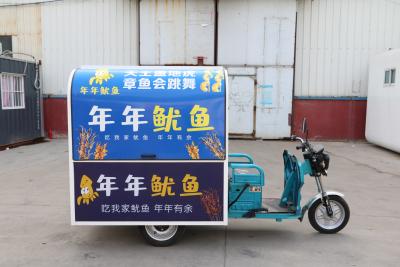 China Conveniente Dragonfly Tricycle con 7 marchas y 500 kg de capacidad de carga, Triciclo asequible y duradero con opciones ajustables en venta