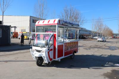 Chine Electric Lightweight Wasp 3-wheeled Food Truck CE Certified and 3-wheeled Design à vendre