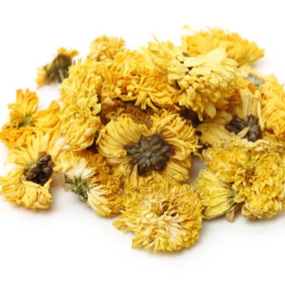 China Improvs View Chrysanthemum for sale