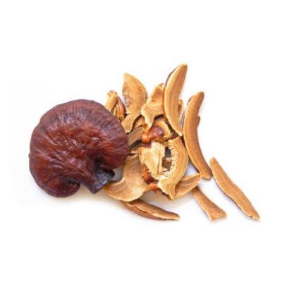 China Blood Sugar Regulation Ganodorma Lucidum Lingzhi Reishi for sale