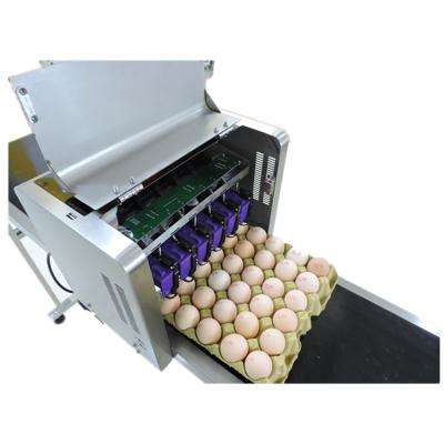 China Whole Eggs Expiry Date Printing Machine Egg Expiry Date Printing Machine 6 Head Flatbed Inkjet Printer for sale