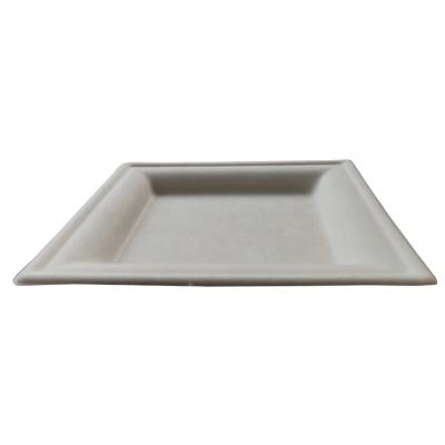 China CLASSIC Disposable Sugar Cane Dishes Bagasse Pulb Square Tableware for sale