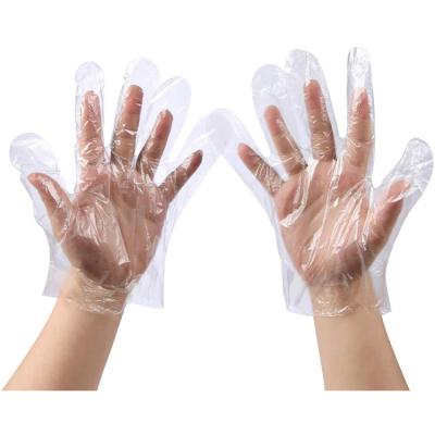 China Morden Bestlife Plastic Kitchen Food Handling Household Cleaning Disposable Gloves for sale