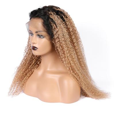 China Factory Sale Widely Used Curly Various Cheap Price Lace Curly Curly Human Hair Wig Wholesale Synthetic Wig Sellers for sale