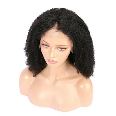 China Other Ready To Ship Wholesale Brazilian Hair Wigs Curly Hair Lace Front For Women for sale