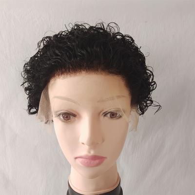 China Cheap Transparent Human Hair Wigs PIXIE Cut Brazilian Raw Hair Silky Straight Wave Lace Front Human Hair Wigs for sale