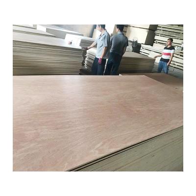 China Water Resistant China Alibaba Supplier Poplar Eucalyptus Birch Fancy Multilayer Plywood for sale