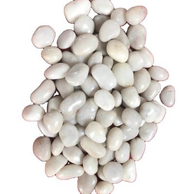 China Home And Garden Decoration Modern Landscaping High Polished White Pebbles for sale