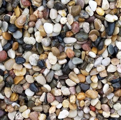 China Natural stone landscaping river pebbles natural stone for sale