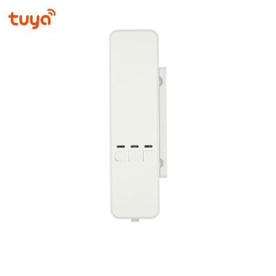 China WIFI Smart Home Tuya Wifi Motor Chain Motor In Shade Blind Remote Control Shutters Curtain Shade for sale